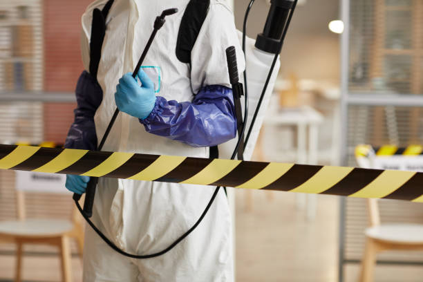Professional Hoarding Cleanup technician working in Grandview, IL